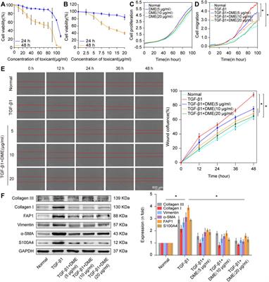 Danshensu methyl ester enhances autophagy to attenuate pulmonary fibrosis by targeting lncIAPF–HuR complex